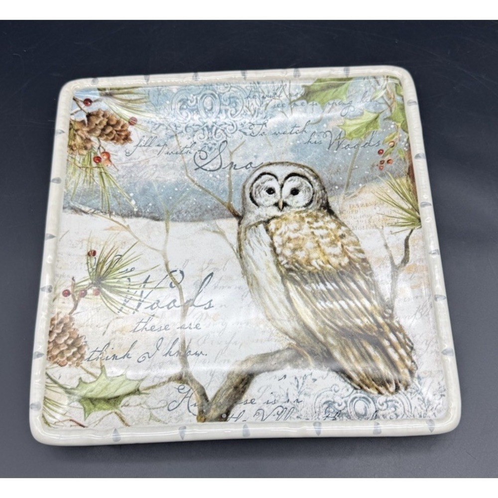 Susan Winget Owl Salad Dessert Plate 8.5" Square Certified International Winter